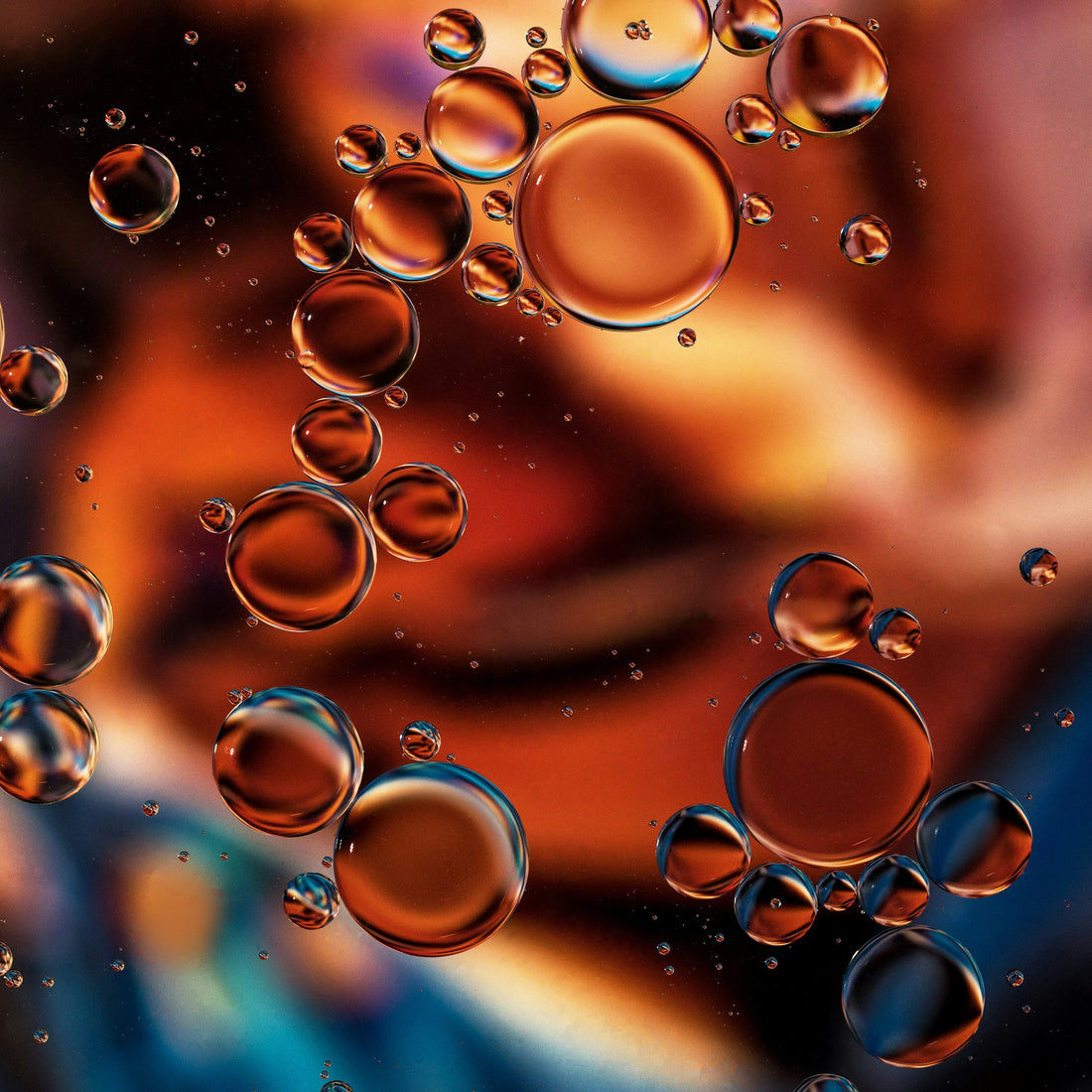 Helfen Lachsöl und Omega-3-Fettsäuren bei Hunde-Arthrose?